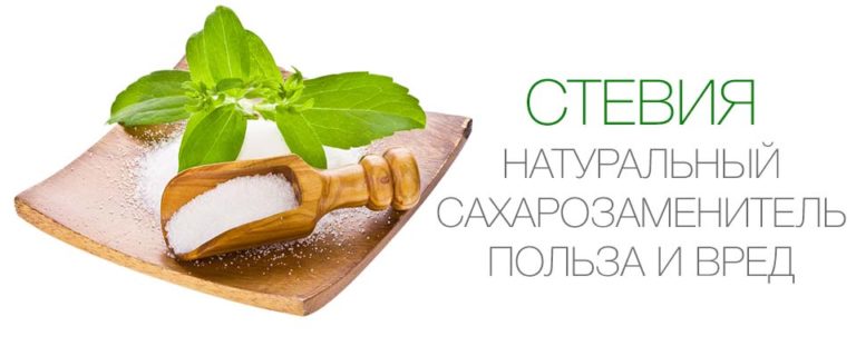 Стевия - заменитель сахара: польза и вред - Блог Врача о Здоровье