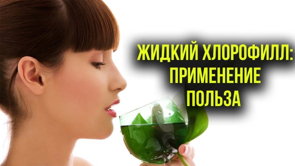 Хлорофилл Жидкий: применение, польза и вред - Блог Врача
