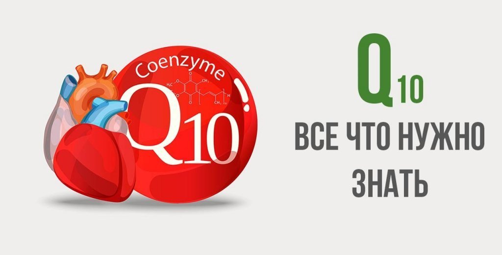 Коэнзим Q10: все что нужно знать - Блог Врача о Здоровье