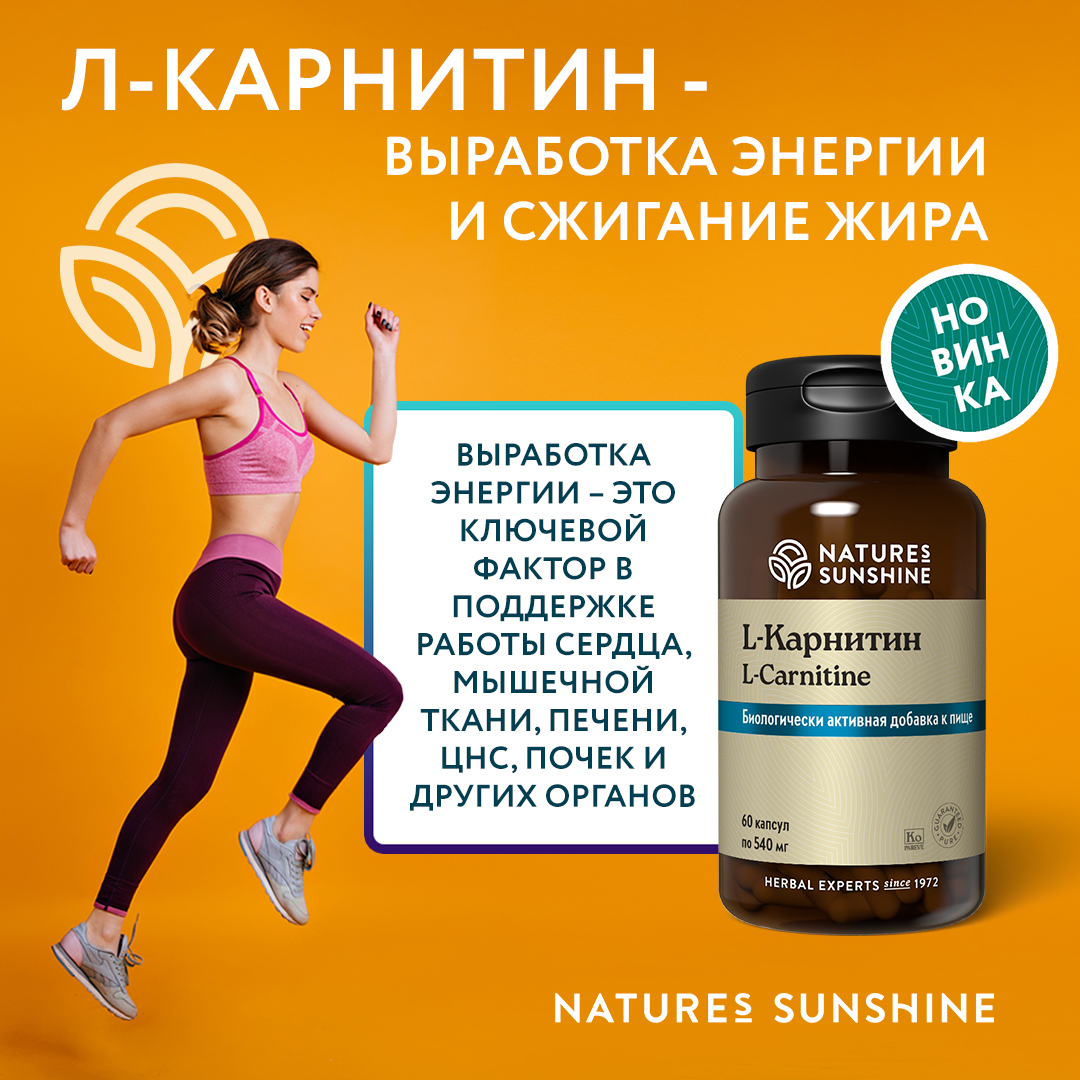 L карнитин НСП| L-carnitine NSP - Сайт дистрибьютора NSP